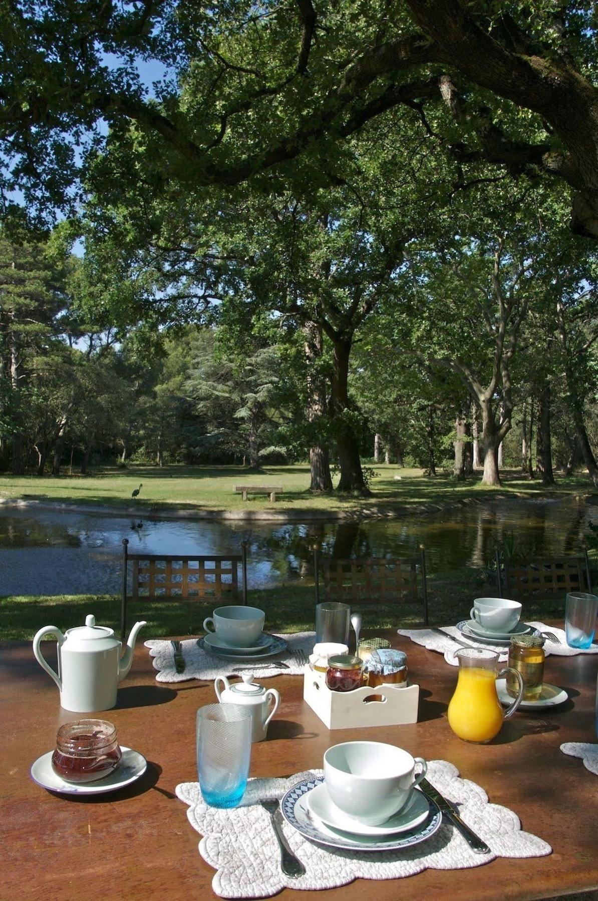 Chateau Juvenal Hotel Saint-Hippolyte-le-Graveyron Екстериор снимка